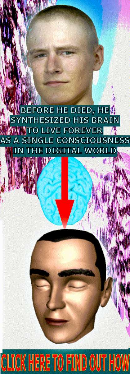 brainnet